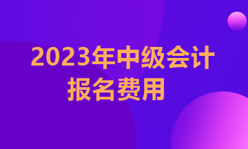 江蘇2023年中級(jí)會(huì)計(jì)職稱考試報(bào)名費(fèi)用多少？