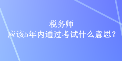 稅務(wù)師應(yīng)該5年內(nèi)通過考試什么意思？