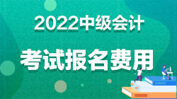 中級會計考試報名費(fèi)用