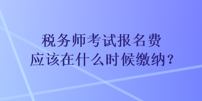 稅務(wù)師考試報(bào)名費(fèi)應(yīng)該在什么時(shí)候繳納？