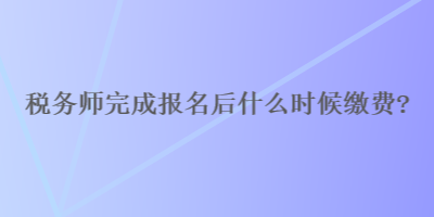 稅務(wù)師完成報(bào)名后什么時(shí)候繳費(fèi)？