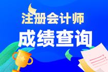 云南省注會考試成績什么時候可以查詢？