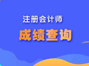 江西省注冊(cè)會(huì)計(jì)師成績(jī)查詢(xún)?cè)谀睦锊樵?xún)？