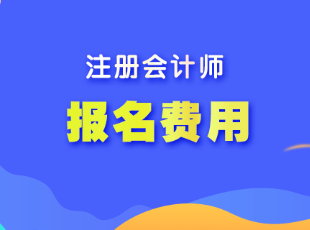 山西cpa考試報名費用是多少？