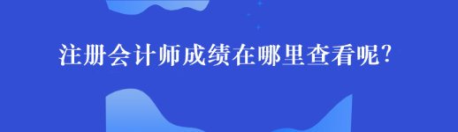 注冊會計師成績在哪里查看呢？44