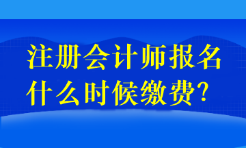 注冊會計師報名什么時候繳費？