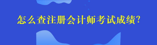 怎么查注冊(cè)會(huì)計(jì)師考試成績(jī)？