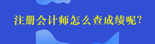 注冊會計師怎么查成績呢？