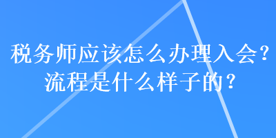 稅務師應該怎么辦理入會？流程是什么樣子的？