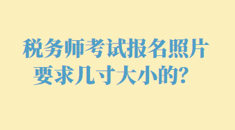 稅務(wù)師考試報名照片要求幾寸大小的？