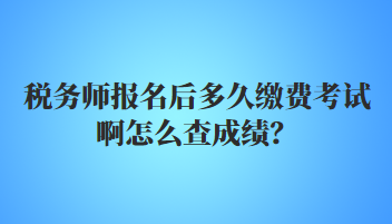 稅務(wù)師報(bào)名后多久繳費(fèi)考試啊怎么查成績？