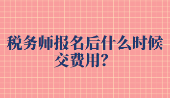 稅務師報名后什么時候交費用？