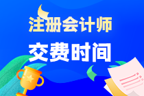 cpa考試什么時候交報名費啊？