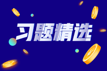 2023初級審計師《審計理論與實務(wù)》練習(xí)題精選（三十）