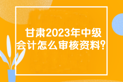 甘肅2023年中級會計怎么審核資料？