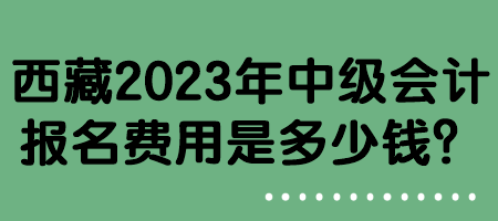 西藏2023年中級會計報名費用是多少錢？