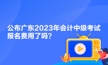 公布廣東2023年會(huì)計(jì)中級(jí)考試報(bào)名費(fèi)用了嗎？