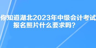 你知道湖北2023年中級會計考試報名照片什么要求嗎？