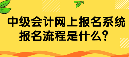 中級會計網(wǎng)上報名系統(tǒng)報名流程是什么？