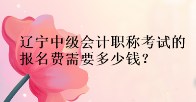 遼寧中級會(huì)計(jì)報(bào)名費(fèi)需要多少錢？