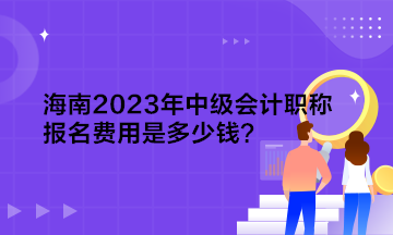 海南2023年中級會(huì)計(jì)職稱報(bào)名費(fèi)用是多少錢？