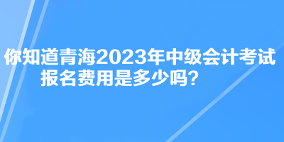 你知道青海2023年中級會計(jì)考試報(bào)名費(fèi)用是多少嗎？