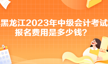 黑龍江2023年中級(jí)會(huì)計(jì)考試報(bào)名費(fèi)用是多少錢？