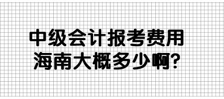 中級會計報考費(fèi)用海南大概多少啊