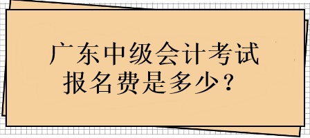 廣東中級(jí)會(huì)計(jì)考試報(bào)名費(fèi)用是多少？