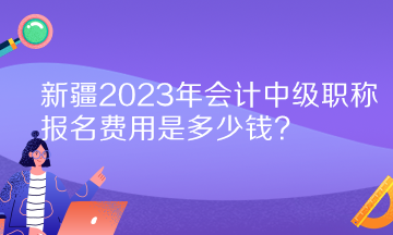 新疆2023年會計中級職稱報名費用是多少錢？