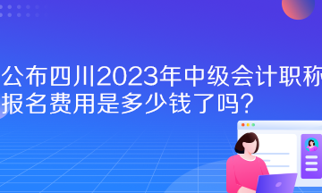  公布四川2023年中級會計職稱報名費用是多少錢了嗎？