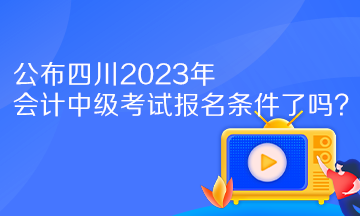 公布四川2023年會(huì)計(jì)中級(jí)考試報(bào)名條件了嗎？