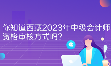 你知道西藏2023年中級會計(jì)師資格審核方式嗎？