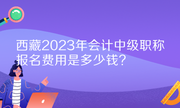 西藏2023年會(huì)計(jì)中級職稱報(bào)名費(fèi)用是多少錢？