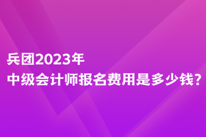 兵團(tuán)2023年中級(jí)會(huì)計(jì)師報(bào)名費(fèi)用是多少錢？