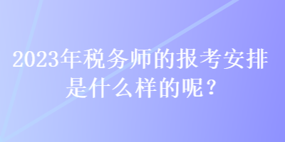 2023年稅務(wù)師的報(bào)考安排是什么樣的呢？