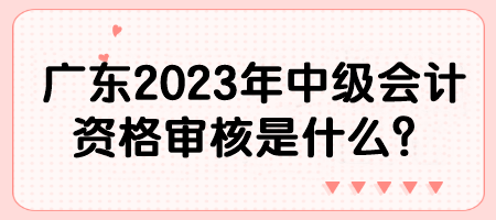 廣東2023年中級(jí)會(huì)計(jì)資格審核是什么？