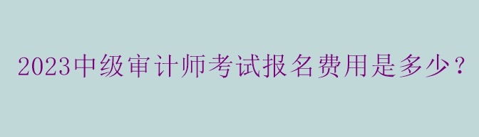 2023中級審計師考試報名費用是多少？