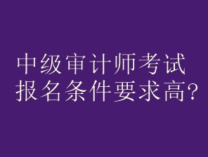 中級審計師考試報名條件要求高嗎？