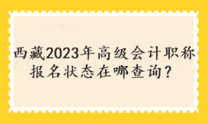 西藏2023年高級(jí)會(huì)計(jì)職稱報(bào)名狀態(tài)在哪查詢？