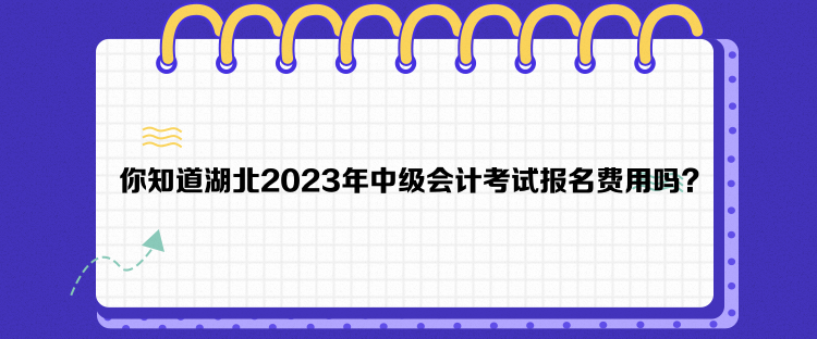 你知道湖北2023年中級(jí)會(huì)計(jì)考試報(bào)名費(fèi)用嗎？