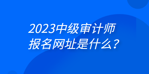 2023年中級(jí)審計(jì)師報(bào)名網(wǎng)址是什么？