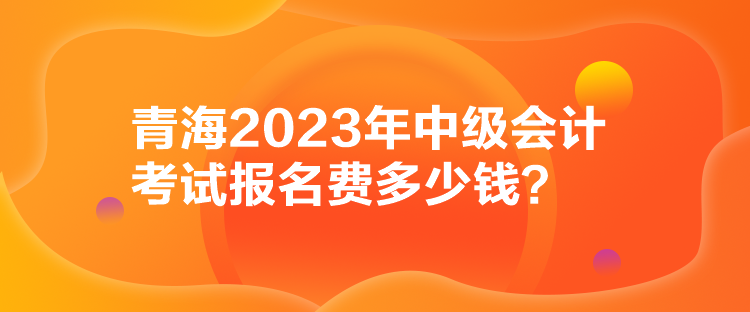 青海2023年中級會(huì)計(jì)考試報(bào)名費(fèi)多少錢？