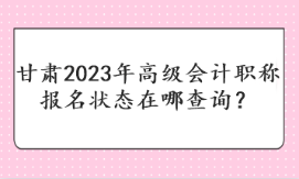 甘肅2023年高級(jí)會(huì)計(jì)職稱報(bào)名狀態(tài)在哪查詢？