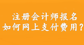 注冊會計師報名如何網(wǎng)上支付費用？