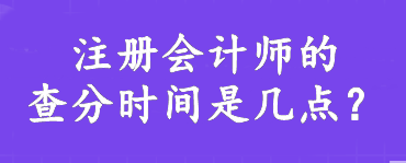 注冊會計師的查分時間是幾點？