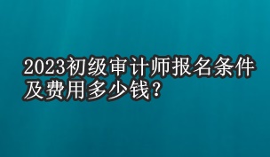 2023初級審計師報名條件及費用多少錢？