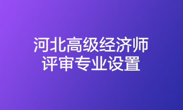 河北高級(jí)經(jīng)濟(jì)師評(píng)審專(zhuān)業(yè)設(shè)置