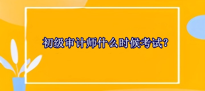 初級(jí)審計(jì)師什么時(shí)候考試？