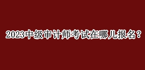 2023中級審計師考試在哪兒報名？